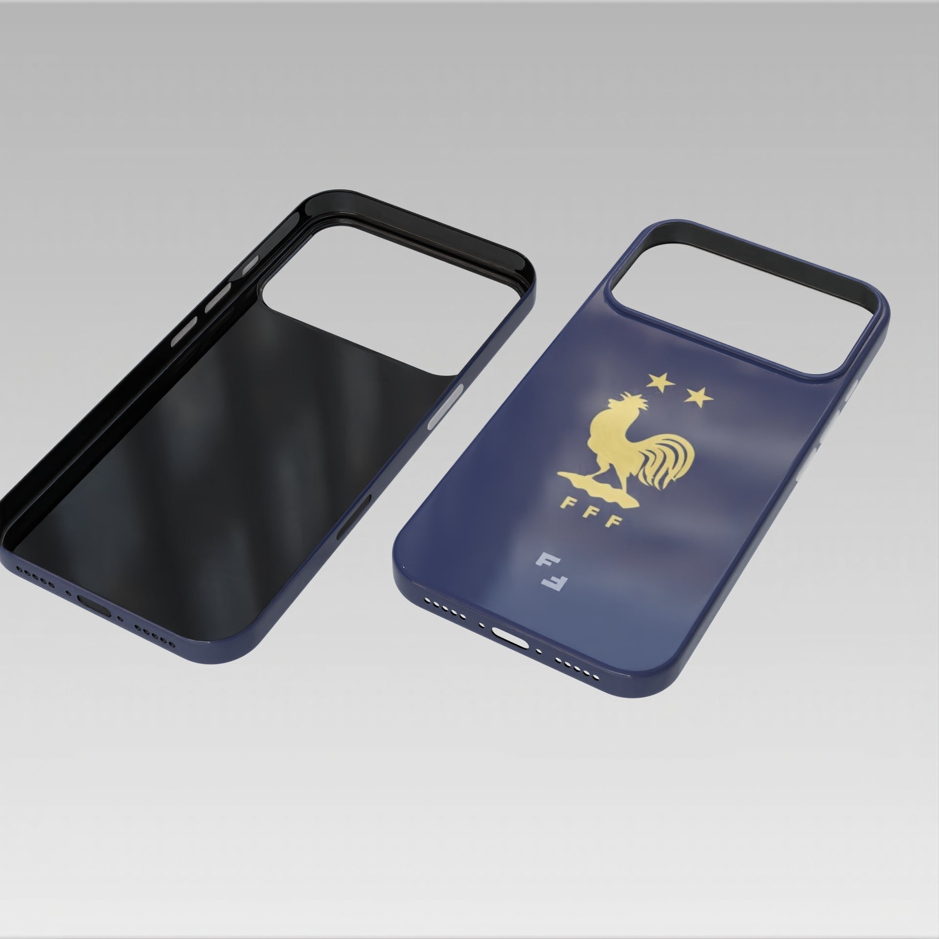 France legacy case