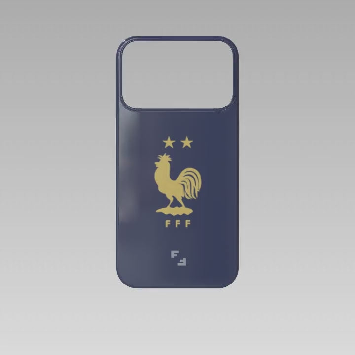 France legacy case